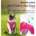Thinkpet No-Pull Dog Harness Leash Set - Breathable Adjustable Safety Harness for Small Medium & Large Dogs - Perfect for Running - Pink Red - Buy Online on GoSupps.com
