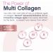 NeoCell Womens Multivitamin Gummy | 80 Gummies | Multi with Advanced Collagen | with Essential Minerals | Berry Flavor - Buy Online on GoSupps.com