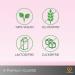 Goodbake Pink Food Coloring (11ml) - Intensive Highly Concentrated Vegan Color for Cakes Fondant Buttercream & More - Perfect for Baking & Drinks - Buy Online on GoSupps.com