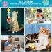 Collazoey 50 Cat Toy Balls - Plush Interactive Launcher & Silent Colorful Balls for Indoor Cats - Buy Online on GoSupps.com