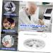 Healeved Stainless Steel Watch Bracelet Repair Set | Screw Nuts Pipe Removal Tools & Miniature Kits - Heavy-Duty Metal Bracelet Accessories - Buy Online on GoSupps.com