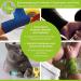 Lisacare Self-Adhesive Bandage - 12 Rolls 5cm Wide - Elastic & Colorful for Kids - Comforting Heart Design - Shop Now! - Buy Online on GoSupps.com