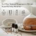JCLOUD Royal Serenity Essential Oil - Ritz-Carlton Inspired Aromatherapy Diffuser Oil | Luxury Hotel Scents with Lemon Jasmine & Amber - 10mL - Buy Online on GoSupps.com