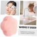 Beavorty Flutter Sector Facial sponges for Washing face The Flowers Plant sponges for facials Tool The face Facial Sponge Round Clean Cute Dry Puff Sponge face - Buy Online on GoSupps.com