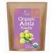 Organic Pure Amla Berry Powder 1.25 Pound - Food Grade & Non-GMO - for Cooking & Beauty Care - Supports Hair Growth Immunity & Digestion - by Jiva Organics
