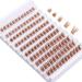Buy Outopen Brown Lash Clusters 140Pcs - Natural D Curl Wispy Cat Eye Extensions for DIY Home Use - Buy Online on GoSupps.com