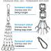 150LB Capacity Punching Bag Hanger Stainless Steel Swivel Chain | Heavy Bag Gym Swing Trapeze Hammock | 4 Snap Hooks Included - Buy Online on GoSupps.com