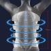 Thoracolumbar Fixed Spinal Brace Adjustablethoracolumbar Orthosis for Spinal Sciatica Pain Disc Injury Scoliosis Protector L Large - Buy Online on GoSupps.com