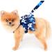 Paidful Dog Harness Dress for Small Dogs & Cats | Colorful Floral Tutu Rock Mesh | Breathable Pet Clothing with 1.6m Leash | Perfect for Mini Puppies & Yorkies | Spring Blue XL - Back Length 35cm Bust 47cm - Buy Online on GoSupps.com