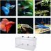 Large Fish Breeder Net with Suction Cups - Nylon Mesh Hatchery Isolation Box for Aquarium Tank - Buy Online on GoSupps.com