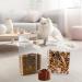 Ctomche 2 Pack Pet Food Storage Container Airtight Cat Food and Treats Containers with Handled Lid and Measuring Cup Clear Plastic Cat Food Storage Pour Spout Opening 2.8L*2 Portable for Travel Cat Food Container Transparent - Buy Online on GoSupps.com