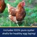 Pampered Chicken Mama 1.25 lb Backyard Chicken Treats - Natural Feed for Great Eggs - High Calcium Hen Supplement (10 oz) - Buy Online on GoSupps.com