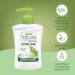  Winni's Winni's Natural Green Tea Liquid Soap 250 ml - Buy Online on GoSupps.com