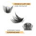 Fluffy D Curl Individual Eyelashes - 10mm Natural Matte Mega D for DIY Extensions | 1 Pack - Buy Online on GoSupps.com