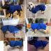 OWBB Extra Suction Dog Bath Towel & Bathrobe | Fast-Drying Cat Towel with Adjustable Straps | XS Blue Pet Coat - Ideal for Cats & Dogs - Buy Online on GoSupps.com