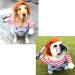 Delifur Funny Dog Costume - Halloween Clothes for Small to Big Dogs | Cat Cosplay Party Suit - Buy Online on GoSupps.com