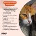 Vitamins for Cats - Natural Sedative & Stress Relief | Improve Nervous System Health - Buy Online on GoSupps.com