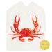 UMT Plastar 50-Piece Biodegradable Disposable Adult Plastic Bibs - 23 Inches Large Size for Seafood Parties - Perfect for Restaurants or Home Use - Buy Online on GoSupps.com