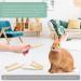Bissap Sweet Bamboo Chew Sticks for Rabbits - Natural Molar Treats for Small Animals - Teeth Grinding Toys - 500g - Buy Online on GoSupps.com