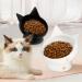 Cat Bowls, Ceramic Cat Food and Water Bowl Set Anti Vomiting, Tilted Elevated Bowls for Cat, Small Dogs, Protect Pet's Spine, Dishwasher and Microwave Safe,2 Pack Black-White