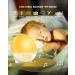 Artinabs Daylight Alarm Clock | Sunrise Sunset Simulation 8 Natural Sounds Dual Alarms 15-Color Bedside Lamp for Kids & Adults - Buy Online on GoSupps.com