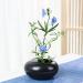 WANDIC Round Flower Frog & Ceramic Flower Pot Set - Shiny Black Pebble - Ikebana Floral Arrangement Supplies for Home and Office Decoration - Buy Online on GoSupps.com