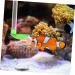 Balacoo 1 Set Fish and Shrimp Feeder Aquarium Accessories Fish Feeder Aquarium Feeder Shrimp Tank Shrimp Tank Accessories Fish Tank Accessory Shrimp Feeder Vacation 15X5X3CM As Shown - Buy Online on GoSupps.com