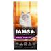 Iams Advanced Health Healthy Digestion Adult Dry Cat Food Turkey & Chicken Recipe 1.59kg Bag