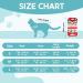 Avont Katzenbody: Optimal Recovery Suit for Cats - Post-Op Castration Weaning & Skin Disease Protection | Shop Now! - Buy Online on GoSupps.com