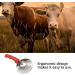 Stainless Steel Horse Curry Comb - Cattle Itching Brush for Horses Sheep & Cows | 5 Rings Horse Care Tool - Buy Online on GoSupps.com
