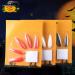 10Pcs Halloween Nails Witch Nails Extra Long High Gloss Full Cover DIY Cosplay Props Halloween Zombie Costume Party False Nails for Festival Halloween Party Black One Size 1 count (Pack of 1) Black - Buy Online on GoSupps.com