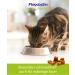 Flexadin Advanced Cat - Joint Health Supplement with UC-II Collagen | 60 Gelatin Capsules for Cats - Buy Online on GoSupps.com