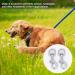 Swivel Snap Hooks Heavy Duty Dog Lead Clip Clasp 360 Swivel Joints Trigger Clips Pet Leashes Key Chain Zinc Alloy Lobster Claw Clasps for Dog Leash Camping Keyring (3 Pcs) - Buy Online on GoSupps.com