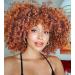 Porsmeer Curly Afro Power Copper red natural art hair with pony for women shoulder length Afro Kinky Curly Bob Wig Volume for black women 14 inch ginger