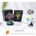 Xiannvxi Feng Shui Tree of Life Crystal Decoration - Fluorite Bonsai with Natural Gemstones for Spiritual Home Decor | International Shipping - Buy Online on GoSupps.com