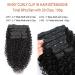 14 Kinky Curly Clip in Hair Extensions - 100g/Set, 8A Brazilian Real Human Hair for Black Women - 3c 4a Kinky Curly Clip ins - Buy Online on GoSupps.com