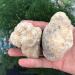 Natural Crystal Rough Natural Crystals and Stones Natural Agate Geode Sphere Egg with Box Crystal Cluster Raw Stone Specimen Rough Irregular Decorative Gift for Decoration 100-150g - Buy Online on GoSupps.com