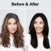 Natural 3-in-1 Black Hair Color Shampoo for Men & Women - 16.9 fl oz | Safe & Effective Solution for Grays - Buy Online on GoSupps.com