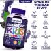 Feel Great Vitamin Co. Elderberry Gummies for Kids | Vegan Immune Support | Gluten Free with Zinc & Vitamin C | 90 Gummies - Buy Online on GoSupps.com