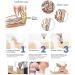 ZIXIAOS ED Shock Wave Therapy Device - Professional Pain Relief & ED Treatment Massage Device for Muscle Pain Relief - Buy Online on GoSupps.com