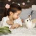 Buy Hutvd 250g Timothy Hay Sticks for Rabbits Hamsters & Small Pets - Dental Care Chew Toys - Buy Online on GoSupps.com
