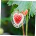 VANZACK Fruit Shaping 4pcs Heart Transparent Fruit Garden Strawberry Forming Jujube Major Melon - Buy Online on GoSupps.com