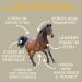 Emma Magnesium for Horses | 1L & 30ml Paste & Liquid | Calm & Relax Nervous Horses | Anti-Stress Nerve Support with Tryptophan - Buy Online on GoSupps.com