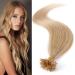 Prebonded U Tip Hair Extensions 50S Keratin Nail Tip Real Remy Human Hair (22"-50g #24 Natural Blonde)