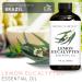 Brooklyn Botany Lemon Eucalyptus & Peppermint Essential Oils 4 Fl Oz (Pack of 2) 100% Pure & Natural Cool & Energizing Aromatherapy Blend - Buy Online on GoSupps.com