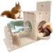 Squirrel Feeder Wooden Squirrel House Transparent Squirrel Feeders for Outside Garden Yard Corn Peanut Squirrel Feeder Squirrel Gifts Squirrel House Squirrel Houses for Outside Nesting Squirrel Gifts - Buy Online on GoSupps.com