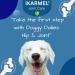 iKarmel Hip and Joint Care Supplements for Dogs - Glucosamine, Chondroitin, Green-Lipped Mussels - Senior to Puppy Treats for Stiff Joints (180 Chews) - Buy Online on GoSupps.com