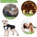 Dog Tuxedo and Bandana Set - Formal Wedding Party Suit with Bow Tie Shirt (Cute Style XXL) - Buy Online on GoSupps.com