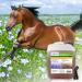 Buy 10 Liters Profair Linen Oil - 100% Pure Cold Pressed Linseed for Horses Dogs & Cats | Additive-Free Pet Nutrition - Buy Online on GoSupps.com