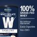 Biochem 100% Whey Isolate Protein - Sugar Free Vanilla, 11.8 oz | High-Quality Protein Supplement - Buy Online on GoSupps.com